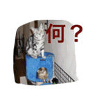 早川恵英です。（個別スタンプ：12）