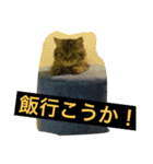 早川恵英です。（個別スタンプ：14）