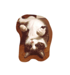 a warm and comfortable（個別スタンプ：2）