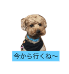 そらくん生活（個別スタンプ：1）