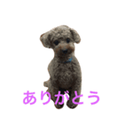 そらくん生活（個別スタンプ：5）