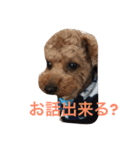 そらくん生活（個別スタンプ：6）