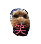 そらくん生活（個別スタンプ：8）