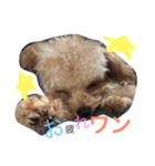 maho'sp2！（個別スタンプ：8）