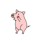 HEY PIG ！（個別スタンプ：3）