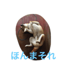 岡山弁・柴犬空（個別スタンプ：1）