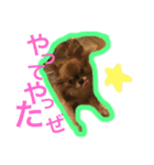とのスタンプ4（個別スタンプ：15）