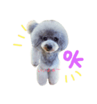 wanリラ DOG's ワンコシリーズ（個別スタンプ：1）