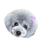 wanリラ DOG's ワンコシリーズ（個別スタンプ：2）