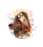 wanリラ DOG's ワンコシリーズ（個別スタンプ：3）