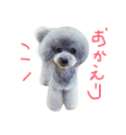 wanリラ DOG's ワンコシリーズ（個別スタンプ：9）