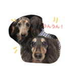 wanリラ DOG's ワンコシリーズ（個別スタンプ：12）
