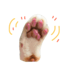 wanリラ DOG's ワンコシリーズ（個別スタンプ：20）