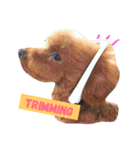 wanリラ DOG's ワンコシリーズ（個別スタンプ：23）