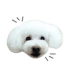 wanリラ DOG's ワンコシリーズ（個別スタンプ：25）