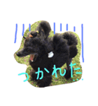 wanリラ DOG's ワンコシリーズ（個別スタンプ：29）