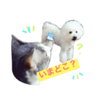 wanリラ DOG's ワンコシリーズ（個別スタンプ：30）