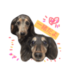 wanリラ DOG's ワンコシリーズ（個別スタンプ：32）