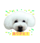 wanリラ DOG's ワンコシリーズ（個別スタンプ：33）