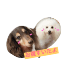 wanリラ DOG's ワンコシリーズ（個別スタンプ：34）