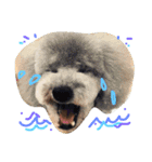 wanリラ DOG's ワンコシリーズ（個別スタンプ：35）