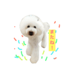 wanリラ DOG's ワンコシリーズ（個別スタンプ：40）