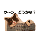 ととのつぶやき1（個別スタンプ：2）