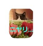 ととのつぶやき1（個別スタンプ：3）