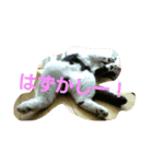 ととのつぶやき1（個別スタンプ：7）