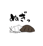 ふとあごのちゃちゃ（個別スタンプ：23）