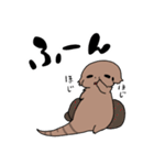 ふとあごのちゃちゃ（個別スタンプ：36）