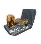 onyanco（個別スタンプ：8）