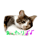 ユキん子（個別スタンプ：4）
