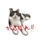 ユキん子（個別スタンプ：6）