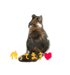 ユキん子（個別スタンプ：7）