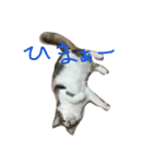 ユキん子（個別スタンプ：8）