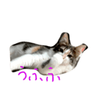 ユキん子（個別スタンプ：9）