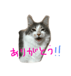 ユキん子（個別スタンプ：11）