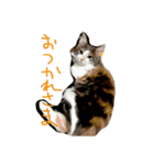 ユキん子（個別スタンプ：15）