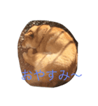 まめ助 1（個別スタンプ：7）