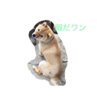 まめ助 1（個別スタンプ：8）