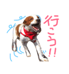 きなめーちゃん2（個別スタンプ：5）