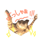 きなめーちゃん2（個別スタンプ：9）