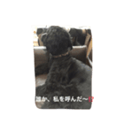 ヴィクトリア vol.1（個別スタンプ：6）