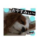 キャバ族Ⅲ（個別スタンプ：11）