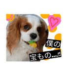 キャバ族Ⅲ（個別スタンプ：12）