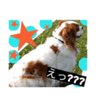 キャバ族Ⅲ（個別スタンプ：13）