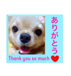 ミルク＊120％（日常編）（個別スタンプ：3）