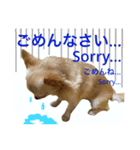 ミルク＊120％（日常編）（個別スタンプ：4）