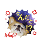 ミルク＊120％（日常編）（個別スタンプ：6）
